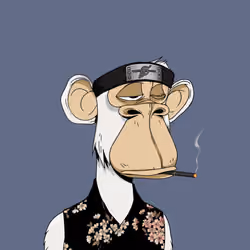 Japanese Born Ape Society #6325