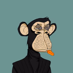 Japanese Born Ape Society #6211