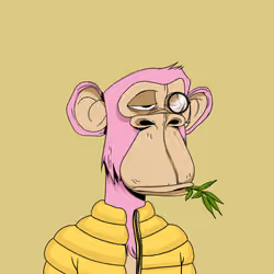 Japanese Born Ape Society #1599