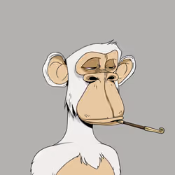 Japanese Born Ape Society #9467