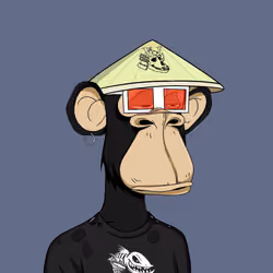Japanese Born Ape Society #4937