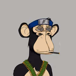 Japanese Born Ape Society #6537