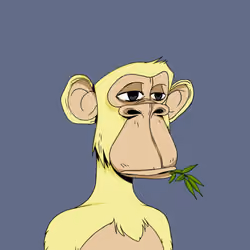 Japanese Born Ape Society #5741
