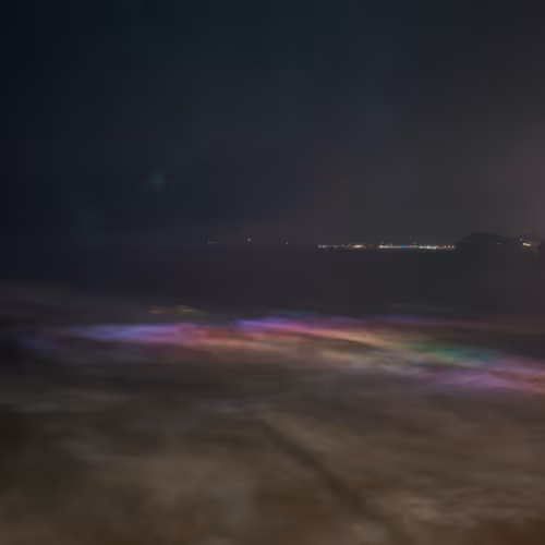 Sea Is