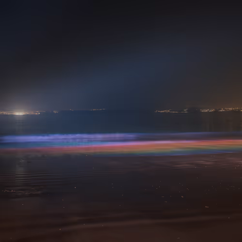 Sea Is