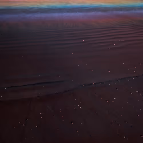 Sea Is