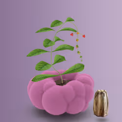 535