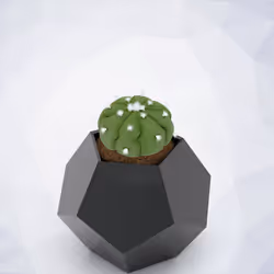 409