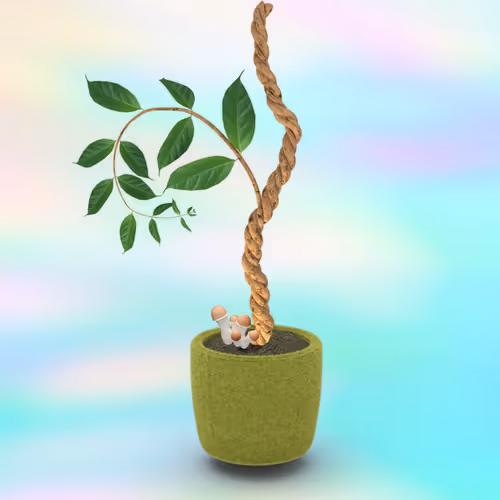 Item #685 Media