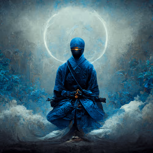 Samurai Ninja By Anon