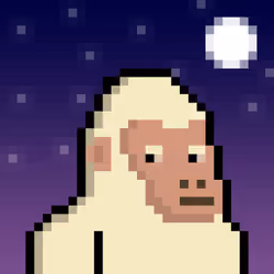 Ape Punk #173