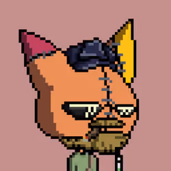 Voodoos PIXEL #1766