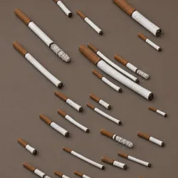 47