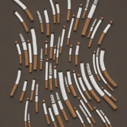 26