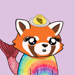 Okay Red Panda #5384