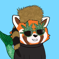 Okay Red Panda #4673