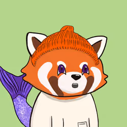Okay Red Panda #1682