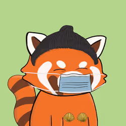 Okay Red Panda #1006