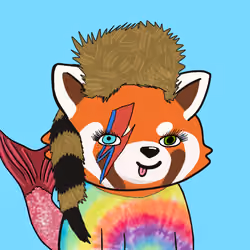 Okay Red Panda #3600