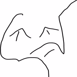 1295