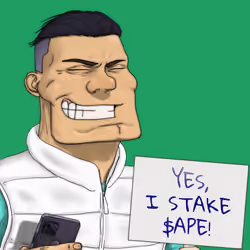 Mr. Yes #252