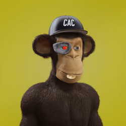 Chill Ape Club #347