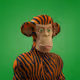 291