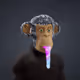 1017