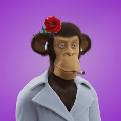 Chill Ape Club #723