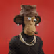 703