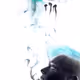 73247562893112132033329914190281161470212323757231800487854581778176796524555