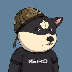 Neiro #2378