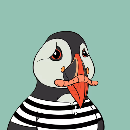 Lost Puffins