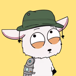 667