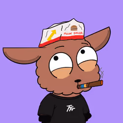 586