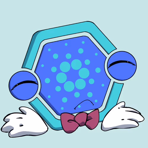 Crypto Hubby S
