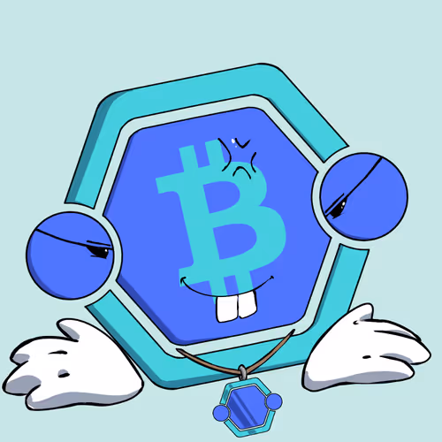 Crypto Hubby S