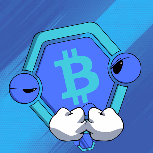 Crypto Hubby S