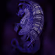 Elemental Dragons V3