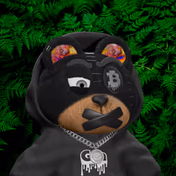 Graffiti Bear #144