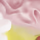 215