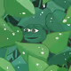 5676