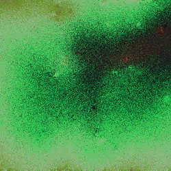 Jupiter's Self-Portrait #655