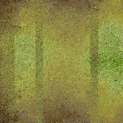 Jupiter's Self-Portrait #557