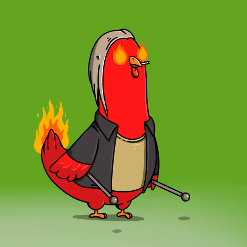 Rock Cock Festival