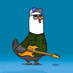 Rock Cock #640