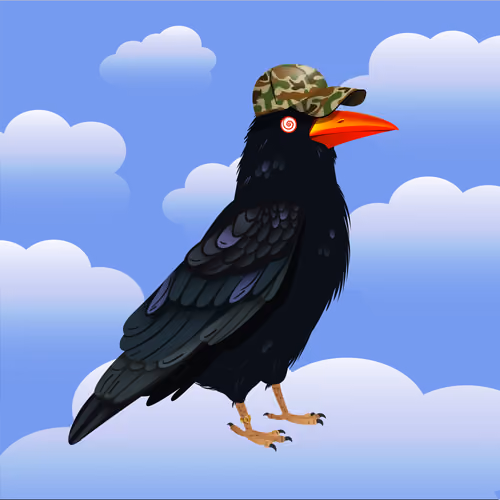 Crazy Crow #4245