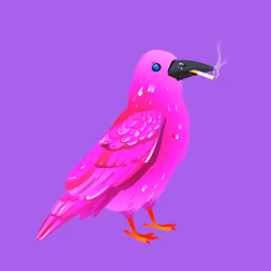 Crazy Crow #6381