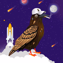 Crazy Crow #3633