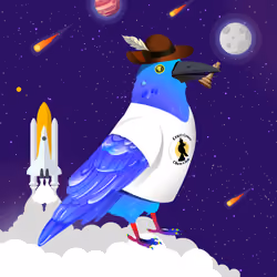 Crazy Crow #6899
